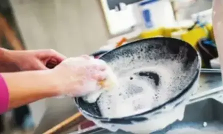 किचन हैक: बर्तन धोने के साबुन के बिना बर्तन कैसे धोएं?अपनाएं इन 6 टिप्स को