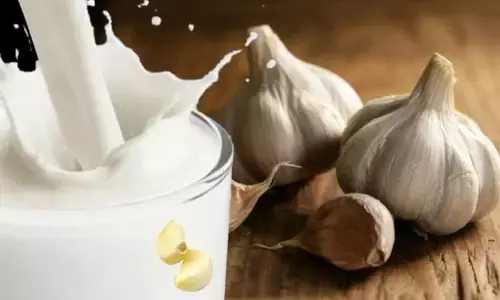 लहसुन वाला दूध: आपकी पाचन समस्याओं से राहत दिलाता है