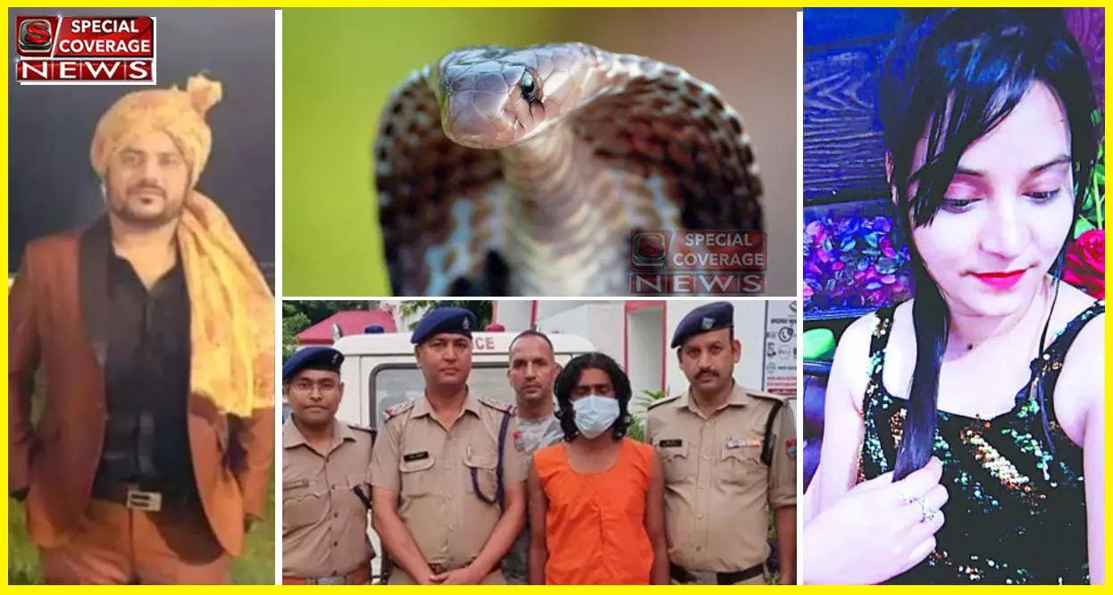 प्रेमिका ने कोबरा सांप से डसवाकर कराई प्रेमी की हत्या, फिर ऐसे खुला खौफनाक राज! पुलिस भी हैरान