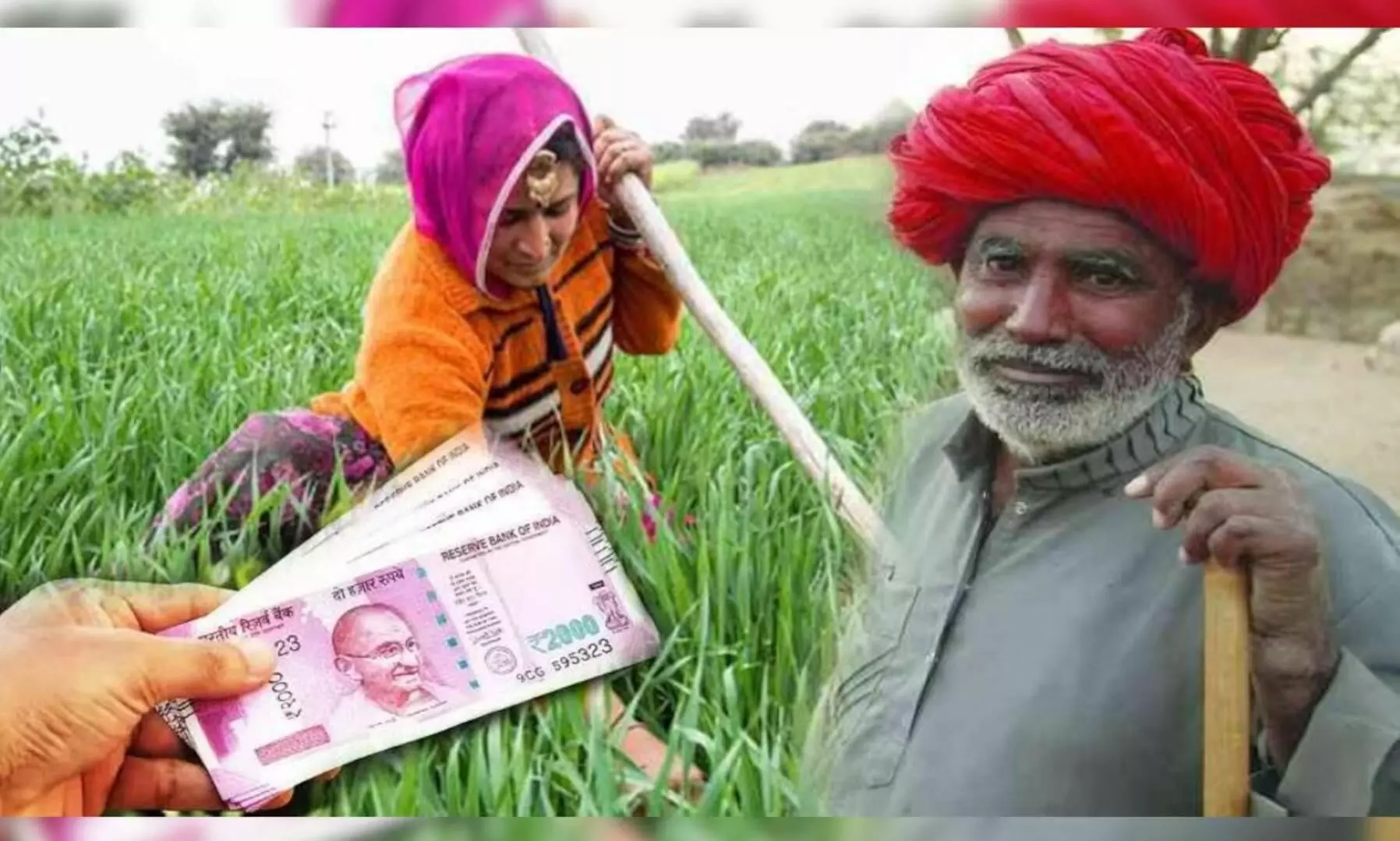 Kisan Credit Card Scheme: किसानों के खाते में आए 3 लाख रुपये, जानें कैसे कर सकते हैं अप्लाई Kisan Credit Card Scheme: किसानों के खाते में आए 3 लाख रुपये, जानें कैसे कर सकते हैं अप्लाई