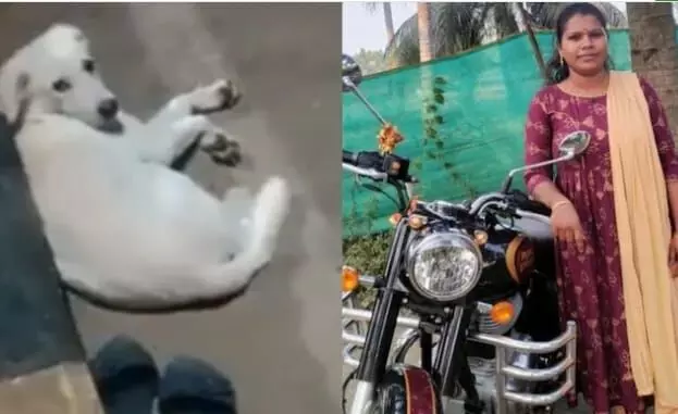 महिला ने गोदावरी नदी में कूदकर की आत्महत्या लेकिन उसका कुत्ता चप्पल के पास बैठकर उसका करता रहा इंतजार