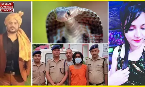 प्रेमिका ने कोबरा सांप से डसवाकर कराई प्रेमी की हत्या, फिर ऐसे खुला खौफनाक राज! पुलिस भी हैरान प्रेमिका ने कोबरा सांप से डसवाकर कराई प्रेमी की हत्या, फिर ऐसे खुला खौफनाक राज! पुलिस भी हैरान