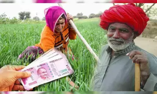Kisan Credit Card Scheme: किसानों के खाते में आए 3 लाख रुपये, जानें कैसे कर सकते हैं अप्लाई Kisan Credit Card Scheme: किसानों के खाते में आए 3 लाख रुपये, जानें कैसे कर सकते हैं अप्लाई