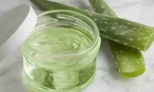 होममेड एलोवेरा जेल: घर पर बनाएं शुद्ध जेल, त्वचा और बालों के लिए वरदान