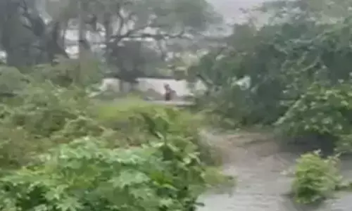 महाराष्ट्र: बारिश से प्रभावित ठाणे जिले में रेलवे ट्रैक पर महिला की गोद से गिरा शिशु नाले में जा गिरा महाराष्ट्र: बारिश से प्रभावित ठाणे जिले में रेलवे ट्रैक पर महिला की गोद से गिरा शिशु नाले में जा गिरा