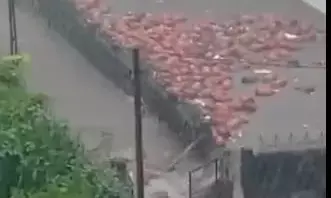 गुजरात: नवसारी में गैस सिलेंडर बारिश के पानी में बह गए