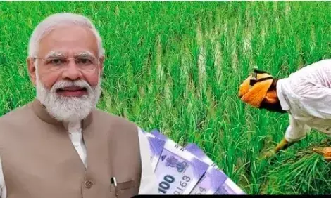 8 करोड़ किसानों के लिए पीएम किसान योजना की 14वीं किस्त जारी
