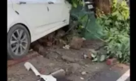 चंडीगढ़ के सेक्टर 46 में नशे में धुत आदमी ने वकील की गाड़ी पर चढ़ा दी कार चंडीगढ़ के सेक्टर 46 में नशे में धुत आदमी ने वकील की गाड़ी पर चढ़ा दी कार