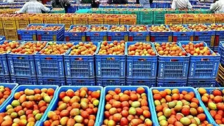 किसान ने 45 दिन में कमाए 3 करोड़ रुपये,जाने कैसे?