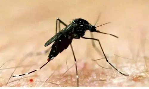 डेंगू के मामलों में वृद्धि के बीच एमसीडी एंटी-लार्वा छिड़काव के लिए ड्रोन करेगी तैनात