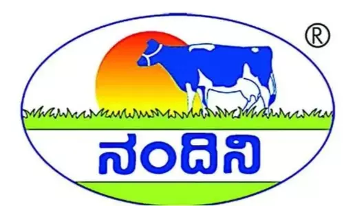 नंदिनी ने मूल्य-संबंधित मुद्दे का हवाला देते हुए तिरुपति को घी बेचना कर दिया बंद,मंदिर ट्रस्ट का पलटवार