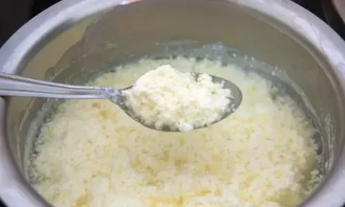 दूध को अधिक दिनों तक ताजा रखने के उपाय; यहां जाने आसान टिप्स दूध को अधिक दिनों तक ताजा रखने के उपाय; यहां जाने आसान टिप्स