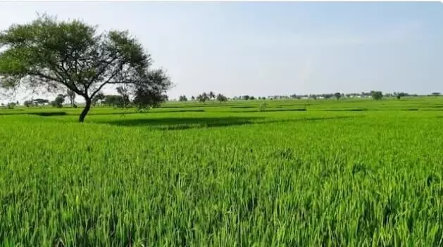 दिल्ली सरकार ने कृषि भूमि के सर्कल रेट बढ़ाने के प्रस्ताव को दे दी है मंजूरी दिल्ली सरकार ने कृषि भूमि के सर्कल रेट बढ़ाने के प्रस्ताव को दे दी है मंजूरी