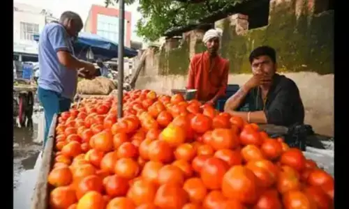 टमाटर की बढ़ती कीमतों के बीच चामराजनगर पुलिस ने टमाटर चोरों पर नजर रखने के लिए बढ़ा दी है सुरक्षा