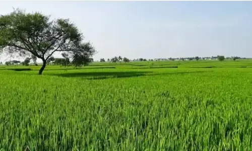 दिल्ली सरकार ने कृषि भूमि के सर्कल रेट बढ़ाने के प्रस्ताव को दे दी है मंजूरी