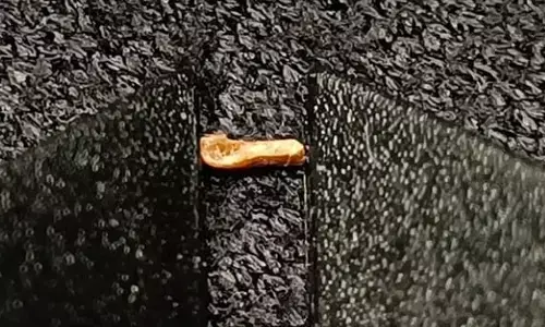 भारतीय कलाकार ने सबसे छोटे लकड़ी के चम्मच का बनाया रिकॉर्ड भारतीय कलाकार ने सबसे छोटे लकड़ी के चम्मच का बनाया रिकॉर्ड