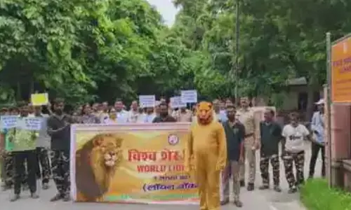 विश्व शेर दिवस: लखनऊ चिड़ियाघर को तिरूपति चिड़ियाघर से मिलेंगे एशियाई शेर