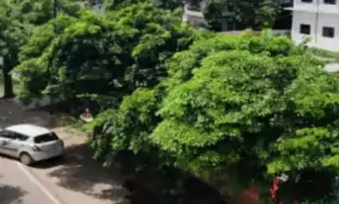 आगरा में पिछले 24 घंटे में करीब 3 डिग्री सेल्सियस बढ़ा अधिकतम तापमान,15 अगस्त को हो सकती है बूंदाबांदी