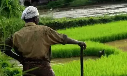 ग्रेटर नोएडा: किसानों के लिए सरकार ने लिया बड़ा फैसला, यहाँ देखे मुख्य बिंदु ग्रेटर नोएडा: किसानों के लिए सरकार ने लिया बड़ा फैसला, यहाँ देखे मुख्य बिंदु