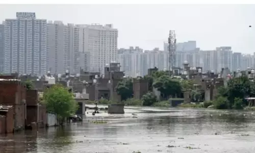 यमुना और हिंडन नदियों के खतरे के स्तर पर पहुंचने के कारण गौतमबुद्ध नगर जिला हाई अलर्ट पर यमुना और हिंडन नदियों के खतरे के स्तर पर पहुंचने के कारण गौतमबुद्ध नगर जिला हाई अलर्ट पर