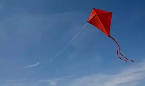 इस स्वतंत्रता दिवस पर उड़ाएं पतंग ? ऐसा करने से पहले दिल्ली ट्रांस्को की पढ़ें अपील