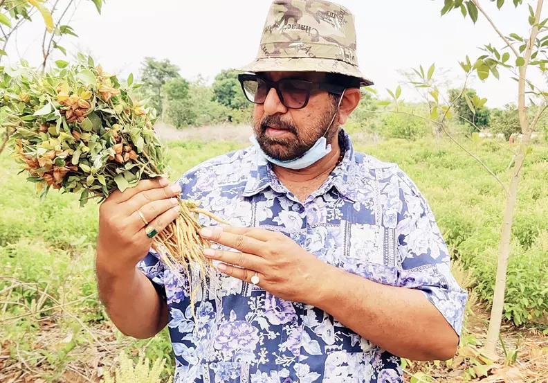 डॉ राजाराम त्रिपाठी डॉ राजाराम त्रिपाठी