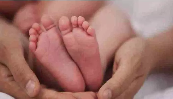 5 लड़कियों के बाद माता-पिता से पैदा हुआ लड़का, कुछ ही घंटों में हो गया लापता 5 लड़कियों के बाद माता-पिता से पैदा हुआ लड़का, कुछ ही घंटों में हो गया लापता