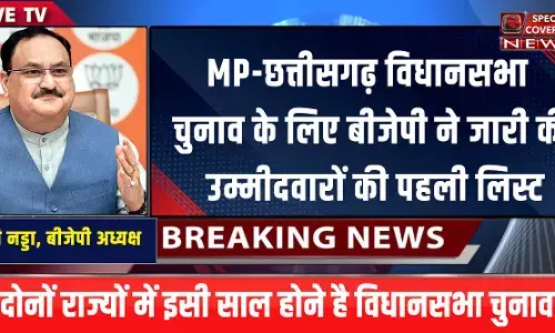BJP ने मध्य प्रदेश और छत्तीसगढ़ विधानसभा चुनाव के लिए उम्मीदवारों की पहली सूची की जारी, देखिए- लिस्ट BJP ने मध्य प्रदेश और छत्तीसगढ़ विधानसभा चुनाव के लिए उम्मीदवारों की पहली सूची की जारी, देखिए- लिस्ट