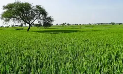 हांगकांग स्थित कंपनी ने 15 लाख करोड़ रुपये का सेमी-कंडक्टर प्लांट आगरा से जेवर किया स्थानांतरित