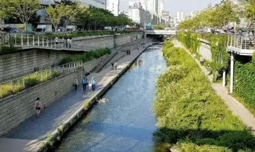 ग्रेटर नोएडा प्राधिकरण ने रिवरफ्रंट में 23 किलोमीटर लंबे प्राकृतिक जलमार्ग का किया पुनरुद्धार ग्रेटर नोएडा प्राधिकरण ने रिवरफ्रंट में 23 किलोमीटर लंबे प्राकृतिक जलमार्ग का किया पुनरुद्धार