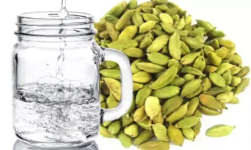 इलायची पानी के फायदे: इस जादुई हैक से घटाएं अतिरिक्त वजन