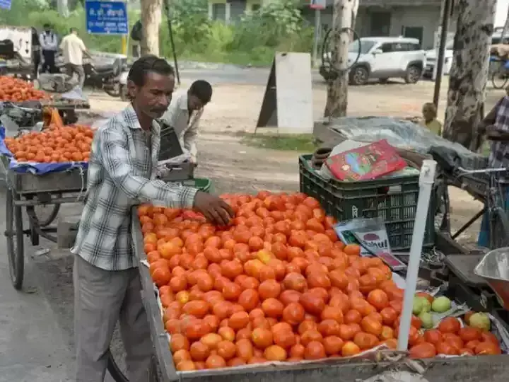 Cheap tomatoes can be available soon, prices fall by up to 30 percent in the wholesale market