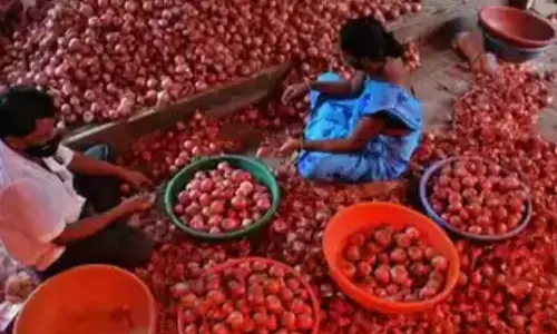 सरकार ने 31 दिसंबर तक प्याज निर्यात पर 40% शुल्क लगाया