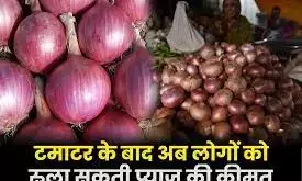 After tomato now onion will also become expensive, know the reason