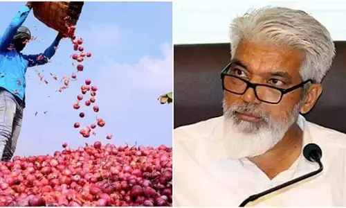 Controversial statement of former Maharashtra minister amid rising onion prices