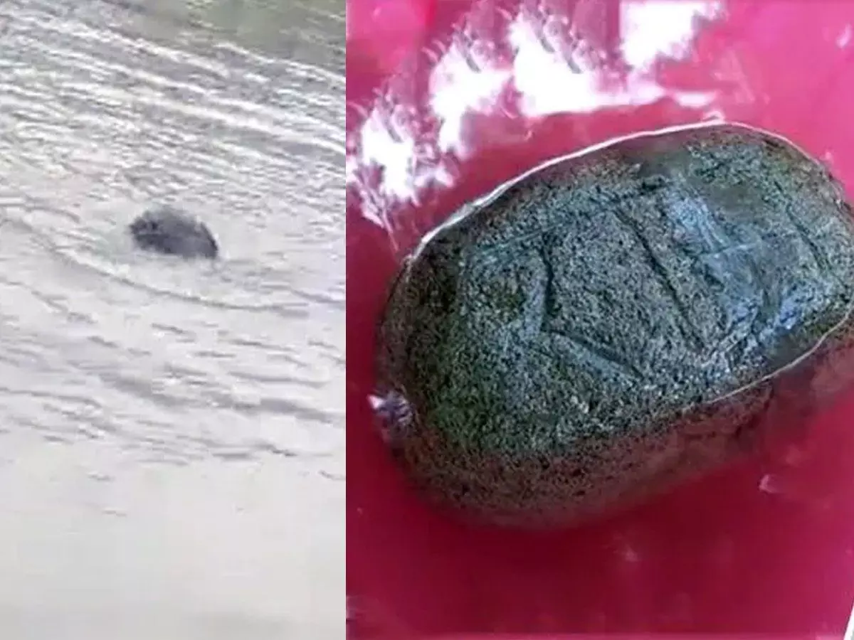 Crowd gathered in Patna to see a stone written on Ram found floating in the Ganges Crowd gathered in Patna to see a stone written on Ram found floating in the Ganges