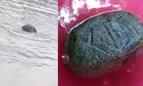Crowd gathered in Patna to see a stone written on Ram found floating in the Ganges