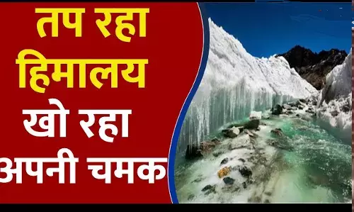 चाहतों के रंगों ने बनाई हिमालय की त्रासदी की तस्वीर चाहतों के रंगों ने बनाई हिमालय की त्रासदी की तस्वीर