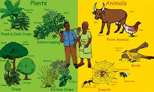आक्रामक विदेशी प्रजातियों की घुसपैठ से दनिया भर में जैव विविधता को हो रहा ख़तरा : IPBES