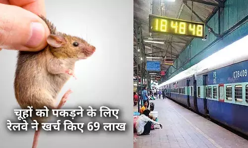 69 लाख खर्च कर रेलवे ने लखनऊ में पकड़े 168 चूहे! RTI में बडा खुलासा!