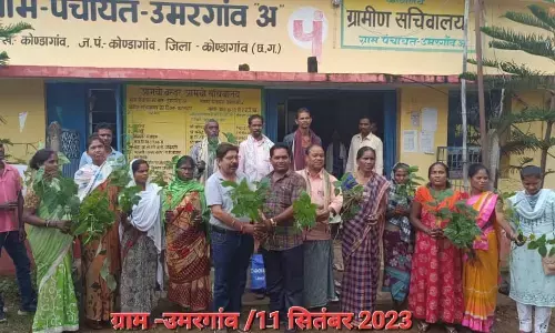 मिशन ब्लैक-गोल्ड बना बस्तर का गेम-चेंजर