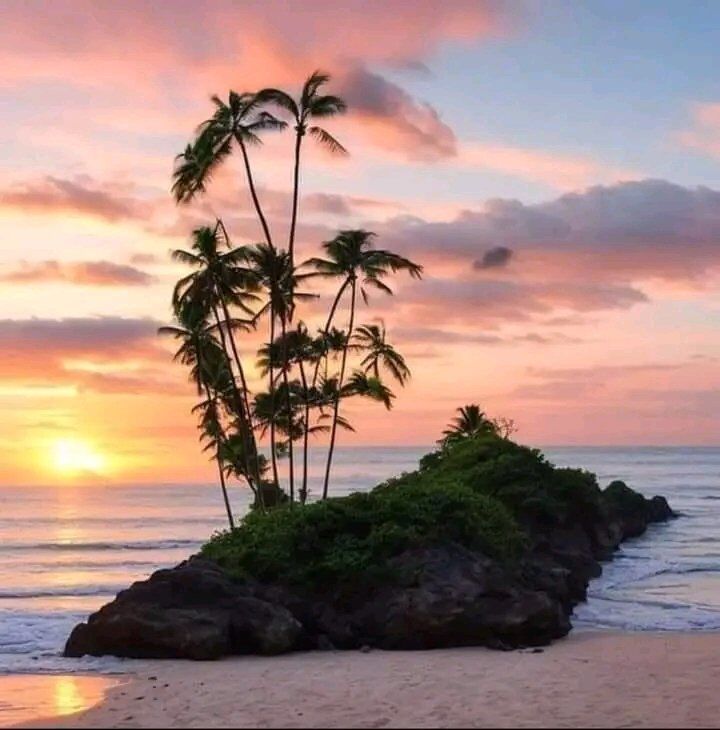 Fact Check Is this the famous Coco Island which was given to Myanmar