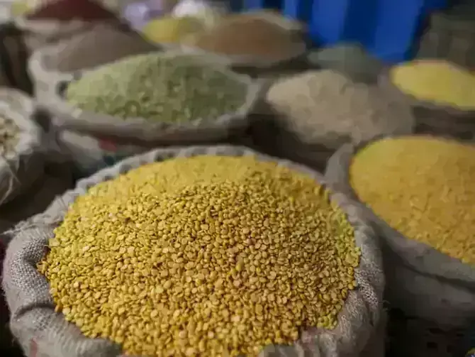 Prices of pulses may reduce, gifts will be available on festivals Prices of pulses may reduce, gifts will be available on festivals