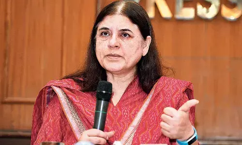 इस्कॉन सबसे बड़ा धोखेबाज, कसाइयों को बेचता है गाय - बीजेपी सांसद मेनका गांधी के बयान से हड़कंप!