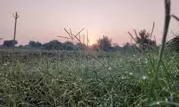 There will be sunshine in UP even today, know when the pink cold will start There will be sunshine in UP even today, know when the pink cold will start
