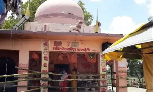 युधिष्ठिर ने की थी माता पल्टादेवी की स्थापना, महाभारत काल से जुड़ा है इतिहास