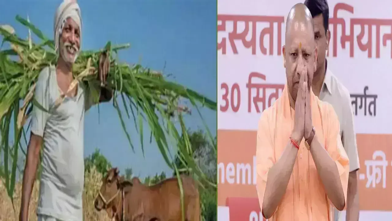 यूपी में किसानों के लिए बड़ी खुशखबरी, 24 जनवरी तक दलहन और तिलहन खरीदेगी सरकार यूपी में किसानों के लिए बड़ी खुशखबरी, 24 जनवरी तक दलहन और तिलहन खरीदेगी सरकार