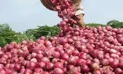 Government made a plan regarding the rising prices of onion, prices will be controlled Government made a plan regarding the rising prices of onion, prices will be controlled