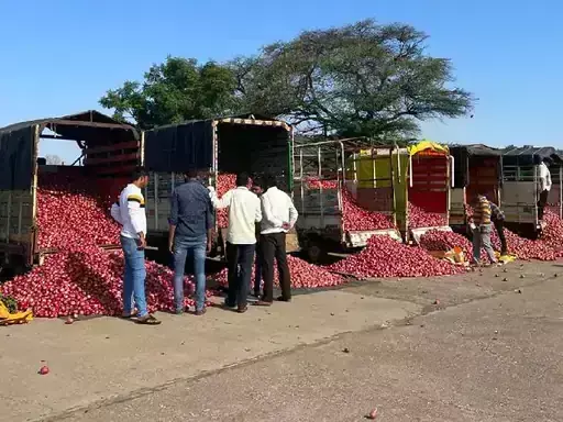 नवरात्री एक बाद दोगुना हो गया प्याज का दाम, सरकार ने कहा- सप्लाई बढ़ाकर कम किए जा रहे दाम नवरात्री एक बाद दोगुना हो गया प्याज का दाम, सरकार ने कहा- सप्लाई बढ़ाकर कम किए जा रहे दाम