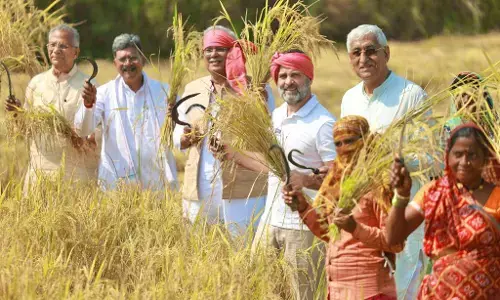 पांच राज्यों के चुनाव में पहली बार केंद्रीय भूमिका में है किसान तथा पार्टियों के घोषणा पत्र पांच राज्यों के चुनाव में पहली बार केंद्रीय भूमिका में है किसान तथा पार्टियों के घोषणा पत्र